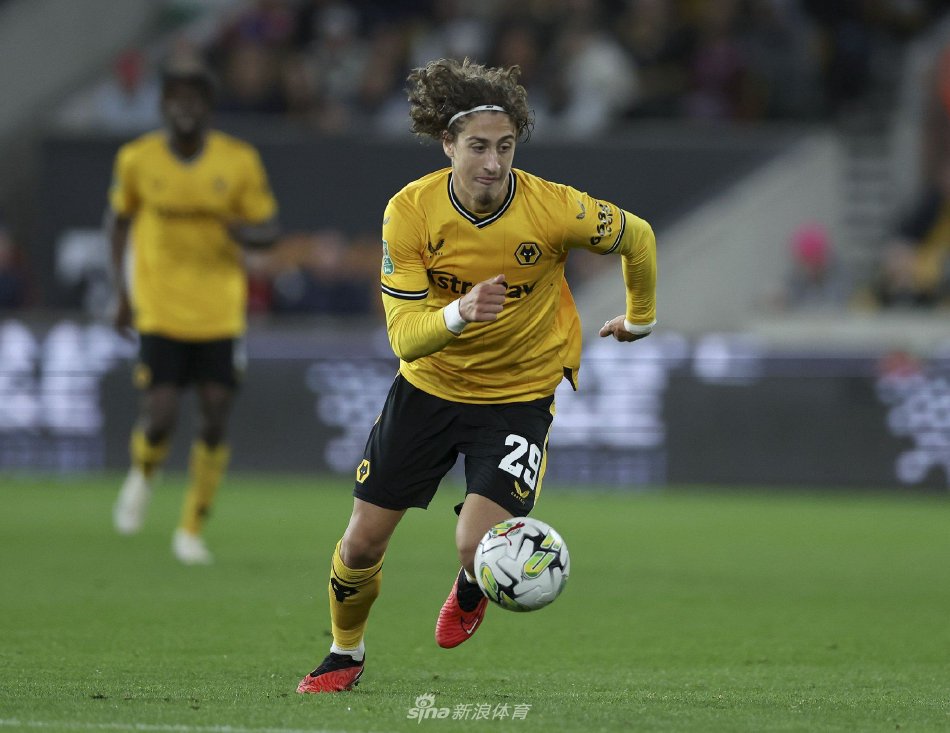 生涯上升期 生涯上升期