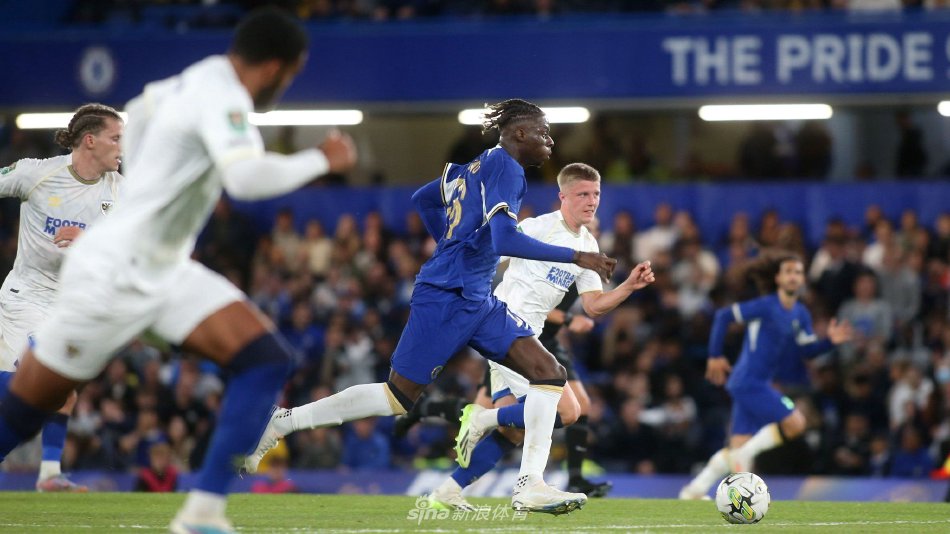 特狮的未来 特狮的未来